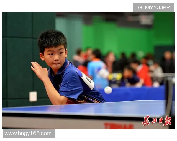 武汉乒乓球队战术深度剖析与对比研究之独特视角